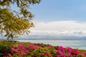 Top view of the sea of Galilee the kinneret lake from the Mount of Beatitudes, Israel