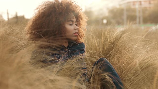 black mixed race woman with big afro curly hair in sunset light sits on lawn field with high dry hay grass and watching aside and in camera.
