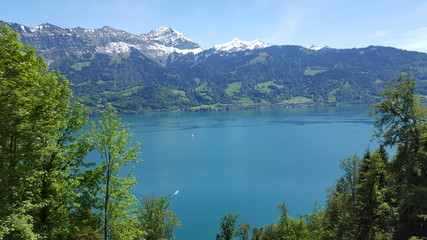 Naklejka na ściany i meble lac suisse paysage