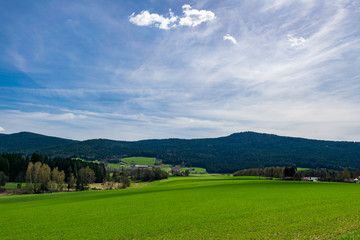 Fototapeta na wymiar Landschaft im Bayerischen Wald mit Bäumen und Wiese und Wolken am Himmel
