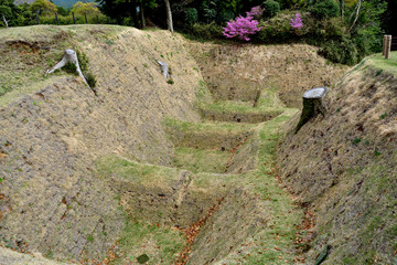 Castle Ruins of Japan
