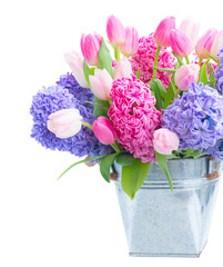 Hyacinth fresh flowers