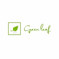 green leaf logo design