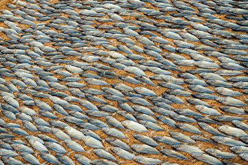 a lot of dried fish in the asia market
