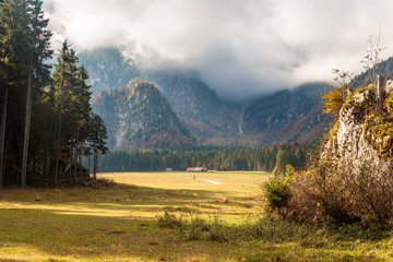Autumn foliage at the alpine lake