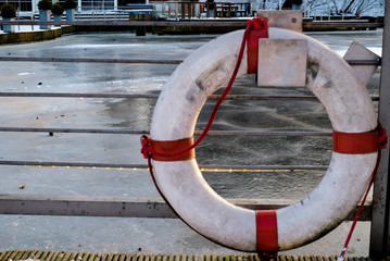 life buoy in hamburg harbor