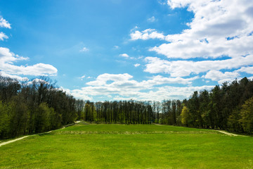 Fototapeta na wymiar horizontal line of trees and green meadow on beutiful sunny day with blue sky