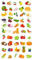 Vector berries, fruits and vegetables icon collection isolated on white. Flat cartoon illustration with natural and environmentally friendly tropical and exotic