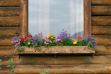 Fototapeta premium Rustic wood cabin with colorful flowers in the windowbox