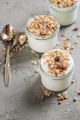 Yoghurt with granola made of oats, raisins, puffed rice, chocolate and dried bananas. Healthy breakfast for family.
