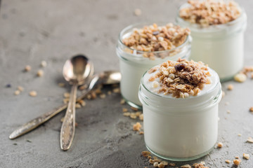 Yoghurt with granola made of oats, raisins, puffed rice, chocolate and dried bananas. Healthy breakfast for family.