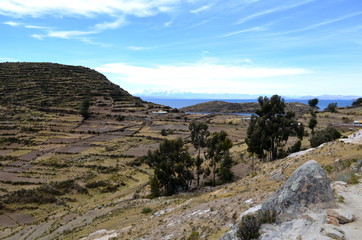 Terrace fields - cultivation on Isla del Sol, Lake Titicaca Peru