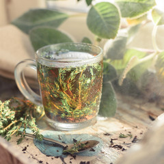 Hot herbal tea with bunch of fresh thyme. Rustic style, natural day light.