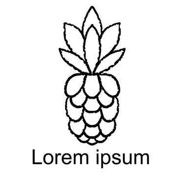 Pineapple sketch icon, logo