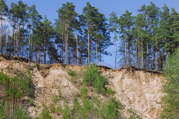 Observation deck in the forest. Sandy bluff in the forest.