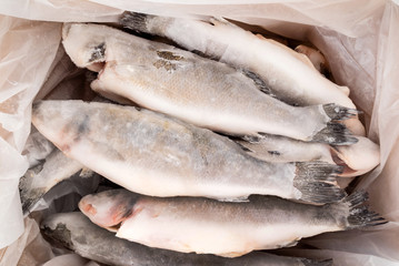 frozen fish in box
