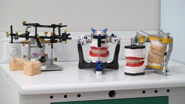 Jaw tooth model in dental clinic