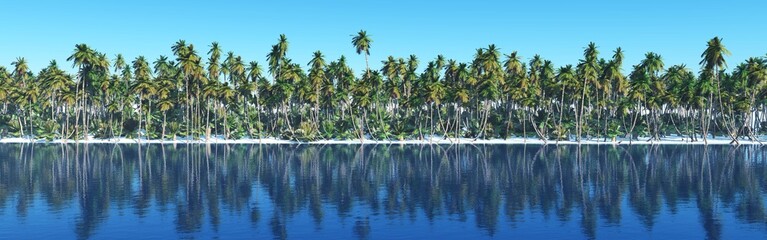 Fototapeta na wymiar panorama of the shore with palm trees in a row, palm grove above the water, 