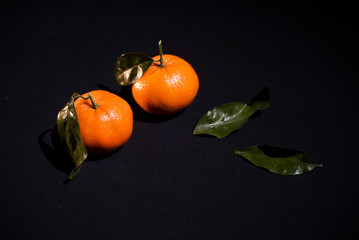 Two citrus mandarin with leafes on black background isolated © lookproduction