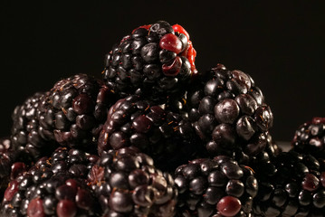 Blackberries on black background close up isolated