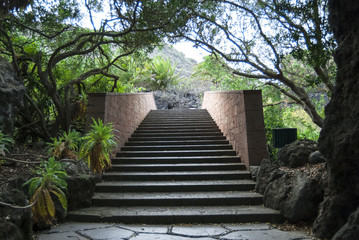 escalones, grada, gemas, camino, escalera, bosque, verde, huerta, escalones, naturaleza, árbol, aparcar, escalera, arquitectura, bridge, antiguas, madera, grada, camino, árbol, camino, acera, cielo