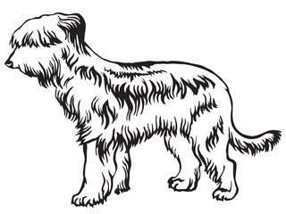 Decorative standing portrait of Briard vector illustration