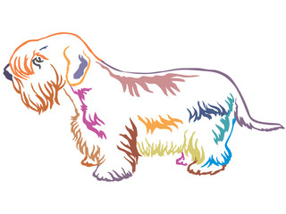 Colorful decorative standing portrait of Sealyham Terrier vector illustration