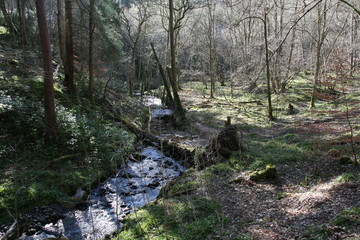 Fairy Glen, Rosemarkie, Scottish Highlands, Scotland