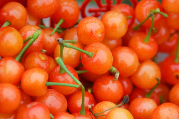 fresh cherry fruit in pile as food background