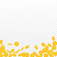 Russian ruble coins falling. Scattered small RUB coins on transparent background. Symmetrical abstract bottom vector illustration. Jackpot or success concept.