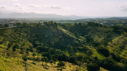 Hill with field. Palm and trees.