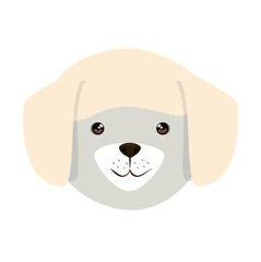 cute dog breed head character vector illustration design