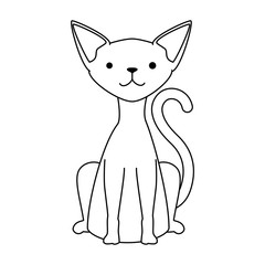 cute cat mascot character vector illustration design