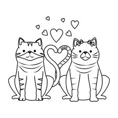 cute couple cats mascots with hearts characters vector illustration design