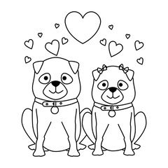 cute dogs couple lovers with hearts characters vector illustration design