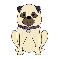 cute dog breed character vector illustration design