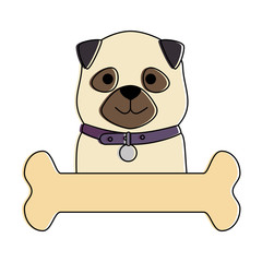 cute dog breed with bone character vector illustration design