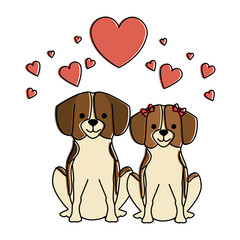 cute dogs couple lovers with hearts characters vector illustration design