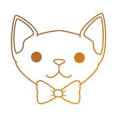 cute cat mascot head character vector illustration design