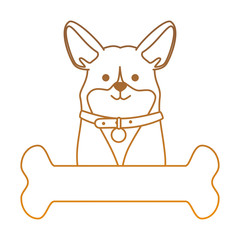 cute dog breed with bone character vector illustration design