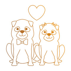 cute dogs couple lovers with hearts characters vector illustration design
