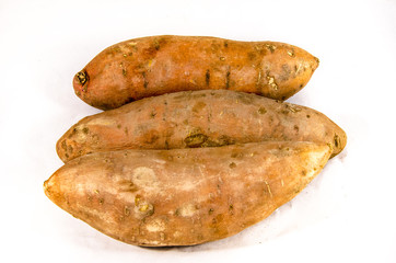 sweet potato 