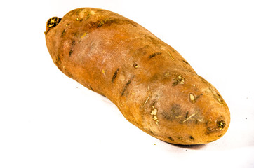 sweet potato 