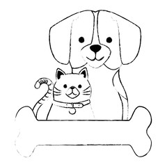cute dog and cat with bone characters vector illustration design