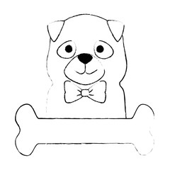 cute dog breed with bone character vector illustration design