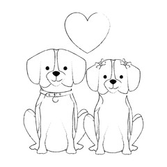 cute dogs couple lovers with hearts characters vector illustration design