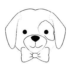 cute dog breed head character vector illustration design