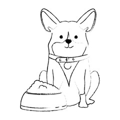 cute dog breed with dish food character vector illustration design