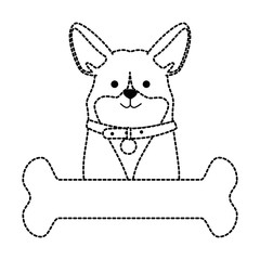 cute dog breed with bone character vector illustration design