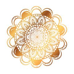 golden and circular mandala vector illustration design